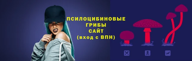 spice Осинники
