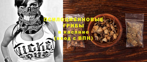 винт Алексеевка