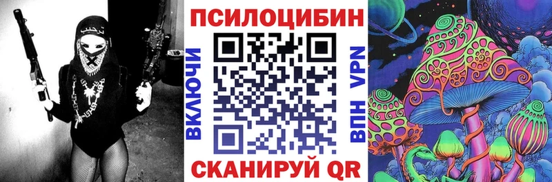 Галлюциногенные грибы GOLDEN TEACHER  где купить наркоту  Переславль-Залесский 