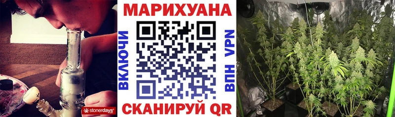 Бошки Шишки MAZAR  omg маркетплейс  Переславль-Залесский  купить наркотики цена 